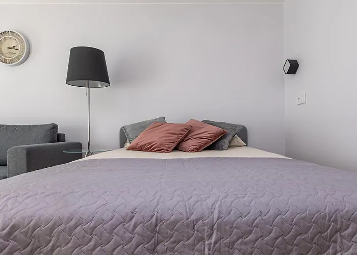 Nauji Apartamentai Su Terasa Tik 300 Metru Iki Juros Palangos Centre Smilciu Gatveje * パランガ